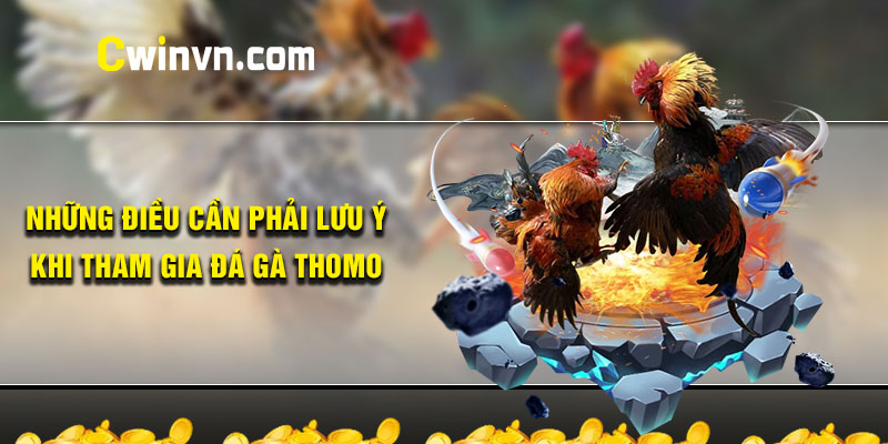 Những lưu ý quan trọng khi tham gia đá gà thomo